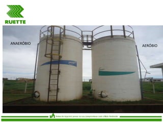 ANAERÓBIO

AERÓBIO

 