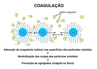 COAGULAÇÃO
Adsorção do coagulante (cátion) nas superfícies das partículas coloidais

Neutralização das cargas das partículas coloidais

Formação de agregados (coágulo ou floco)
 