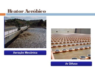 ReatorAeróbico
 