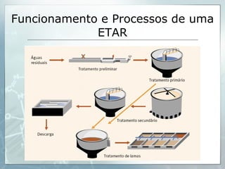 Funcionamento e Processos de uma ETAR 