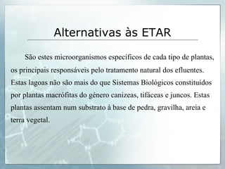 São estes microorganismos específicos de cada tipo de plantas, os principais responsáveis pelo tratamento natural dos efluentes. Estas lagoas não são mais do que Sistemas Biológicos constituídos por plantas macrófitas do género canizeas, tifáceas e juncos. Estas plantas assentam num substrato à base de pedra, gravilha, areia e terra vegetal. Alternativas às ETAR   