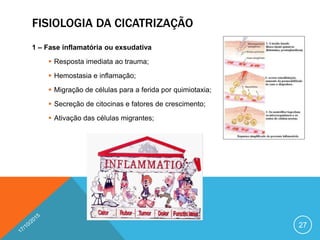 FISIOLOGIA DA CICATRIZAÇÃO
1 – Fase inflamatória ou exsudativa
 Resposta imediata ao trauma;
 Hemostasia e inflamação;
 Migração de células para a ferida por quimiotaxia;
 Secreção de citocinas e fatores de crescimento;
 Ativação das células migrantes;
27
 