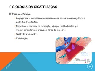 FISIOLOGIA DA CICATRIZAÇÃO
2– Fase proliferativa
 Angiogênese - mecanismo de crescimento de novos vasos sanguíneos a
partir dos já existentes.
 Fibroplasia - processo de reparação, feito por miofibroblastos que
migram para a ferida e produzem fibras de colagénio.
 Tecido de granulação
 Epitelização
28
 