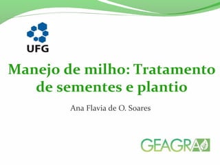 Ana Flavia de O. Soares
Manejo de milho: Tratamento
de sementes e plantio
 