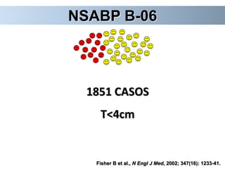 NSABP B-06
1851 CASOS
T<4cm
Fisher B et al., N Engl J Med, 2002; 347(16): 1233-41.
 