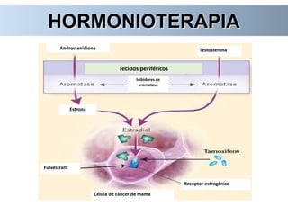 HORMONIOTERAPIA
Fulvestrant
Testosterona
Estrona
Androstenidiona
Receptor estrogênico
Célula de câncer de mama
Inibidores de
aromatase
Tecidos periféricos
o
 
