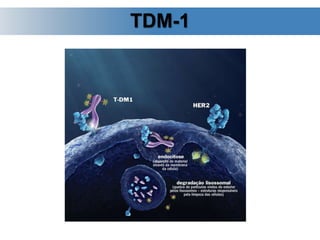 TDM-1
 