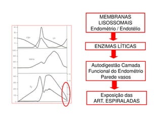MEMBRANAS
LISOSSOMAIS
Endométrio / Endotélio
Exposição das
ART. ESPIRALADAS
ENZIMAS LÍTICAS
Autodigestão Camada
Funcional do Endométrio
Parede vasos
 