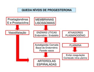MEMBRANAS
LISOSSOMAIS
ARTERÍOLAS
ESPIRALADAS
ENZIMAS LÍTICAS
Endométrio / Endotélio
Autodigestão Camada
Basal do Endométrio
Parede vasos
Prostaglandinas
E e Prostaciclina
Vasodilatação ATIVADORES
PLASMINOGÊNIO
PLASMINA
Evitar coagulação
Conteúdo intra-uterino
QUEDA NÍVEIS DE PROGESTERONA
 