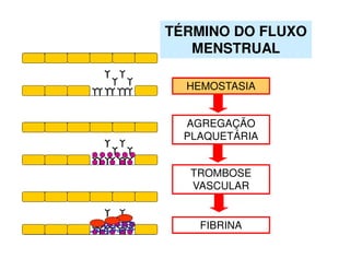 TÉRMINO DO FLUXO
MENSTRUAL
AGREGAÇÃO
PLAQUETÁRIA
TROMBOSE
VASCULAR
HEMOSTASIA
FIBRINA
 