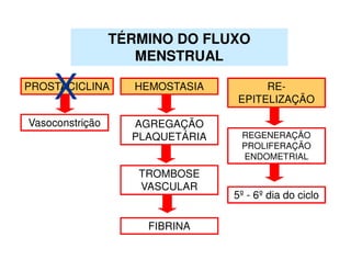 PROSTACICLINA
Vasoconstrição
TÉRMINO DO FLUXO
MENSTRUAL
AGREGAÇÃO
PLAQUETÁRIA
TROMBOSE
VASCULAR
HEMOSTASIA
FIBRINA
RE-
EPITELIZAÇÃO
REGENERAÇÃO
PROLIFERAÇÃO
ENDOMETRIAL
5º - 6º dia do ciclo
X
 