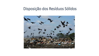 Disposição dos Resíduos Sólidos
 