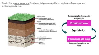 O solo é um recurso natural fundamental para o equilíbrio do planeta Terra e para a
sustentação da vida
Formação do solo
Erosão do solo
Equilíbrio
Intemperismo da rocha
mãe
Desagregação, transporte
e deposição
 