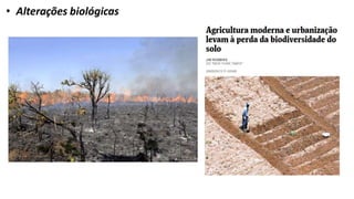 • Alterações biológicas
 