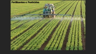 Fertilizantes e Pesticidas
 