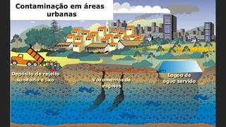 Contaminação em áreas
urbanas
 