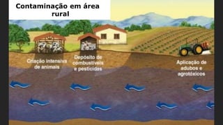 Contaminação em área
rural
 