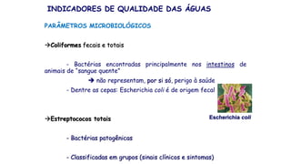 PARÂMETROS MICROBIOLÓGICOS
Coliformes fecais e totais
- Bactérias encontradas principalmente nos intestinos de
animais de “sangue quente”
 não representam, por si só, perigo à saúde
- Dentre as cepas: Escherichia coli é de origem fecal
Estreptococos totais
- Bactérias patogênicas
- Classificadas em grupos (sinais clínicos e sintomas)
INDICADORES DE QUALIDADE DAS ÁGUAS
Escherichia coli
 