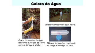 Coleta da Água
Coleta da amostra de água
(observar a posição do filtro
entre a seringa e o tubo)
Coleta de amostra de água no rio
Número da amostra registrado
na tampa e no corpo do tubo
 