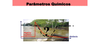 Parâmetros Químicos
distância
OD
Matéria
orgânica ?
 