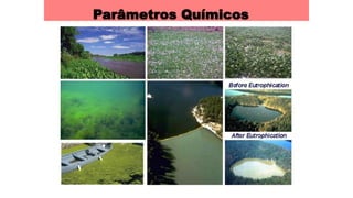 Parâmetros Químicos
 