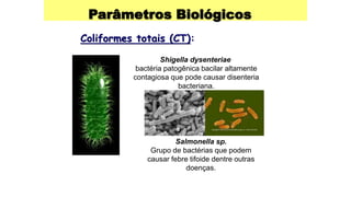 Parâmetros Biológicos
Coliformes totais (CT):
Shigella dysenteriae
bactéria patogênica bacilar altamente
contagiosa que pode causar disenteria
bacteriana.
Salmonella sp.
Grupo de bactérias que podem
causar febre tifoide dentre outras
doenças.
 