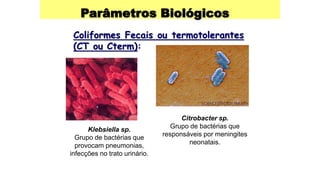 Parâmetros Biológicos
Coliformes Fecais ou termotolerantes
(CT ou Cterm):
Klebsiella sp.
Grupo de bactérias que
provocam pneumonias,
infecções no trato urinário.
Citrobacter sp.
Grupo de bactérias que
responsáveis por meningites
neonatais.
 