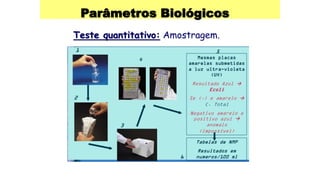Parâmetros Biológicos
Teste quantitativo: Amostragem.
 