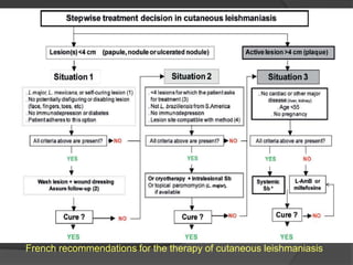 French recommendations for the therapy of cutaneous leishmaniasis
 