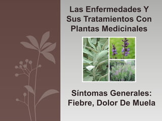 Las Enfermedades Y
Sus Tratamientos Con
Plantas Medicinales
Síntomas Generales:
Fiebre, Dolor De Muela
 