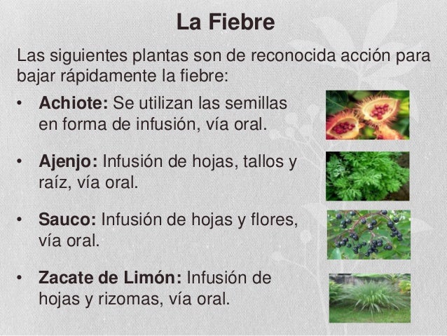 La psoriasis que esto por la enfermedad y como de sanarle