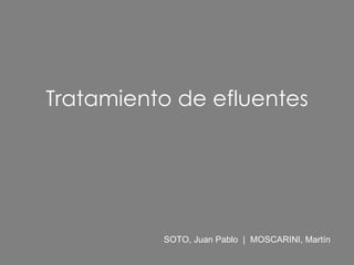 Tratamiento de efluentes SOTO, Juan Pablo  |  MOSCARINI, Martín  
