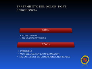 TRATAMIENTO DEL DOLOR  POST-ENDODONCIA 