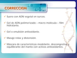 CORRECCION

 Suero con ADN vegetal en surcos.

 Gel de ADN polimerizado – macro molécula – film
 hidratante.

 Gel o emulsión antioxidante.

 Masaje relax y distensión.

 Máscara de características modelante, descongestiva y
 equilibrante del manto con activos antioxidantes.
 