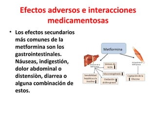 Efectos adversos e interacciones
            medicamentosas
• Los efectos secundarios
  más comunes de la
  metformina son los
  gastrointestinales.
  Náuseas, indigestión,
  dolor abdominal o
  distensiòn, diarrea o
  alguna combinación de
  estos.
 