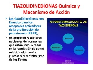 TIAZOLIDINEDIONAS Química y
         Mecanismo de Acción
• Las tiazolidinedionas son
  ligandos para los
  receptores activadores
  de la proliferación de
  peroxisomas (PPAR),
• un grupo de receptores
  nucleares de hormonas
  que están involucradas
  en la regulación de genes
  relacionados con la
  glucosa y el metabolismo
  de los lípidos
 