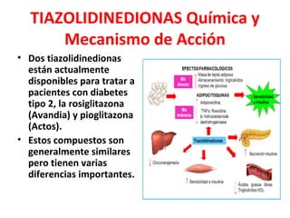 TIAZOLIDINEDIONAS Química y
      Mecanismo de Acción
• Dos tiazolidinedionas
  están actualmente
  disponibles para tratar a
  pacientes con diabetes
  tipo 2, la rosiglitazona
  (Avandia) y pioglitazona
  (Actos).
• Estos compuestos son
  generalmente similares
  pero tienen varias
  diferencias importantes.
 