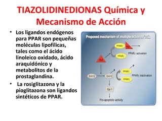 TIAZOLIDINEDIONAS Química y
      Mecanismo de Acción
• Los ligandos endógenos
  para PPAR son pequeñas
  moléculas lipofílicas,
  tales como el ácido
  linoleico oxidado, ácido
  araquidónico y
  metabolitos de la
  prostaglandina.
• La rosiglitazona y la
  pioglitazona son ligandos
  sintéticos de PPAR.
 