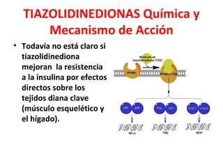 TIAZOLIDINEDIONAS Química y
      Mecanismo de Acción
• Todavía no está claro si
  tiazolidinediona
  mejoran la resistencia
  a la insulina por efectos
  directos sobre los
  tejidos diana clave
  (músculo esquelético y
  el hígado).
 