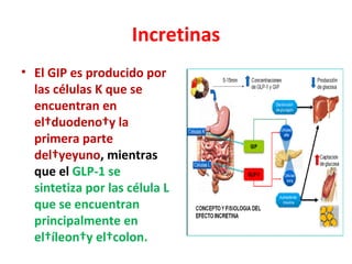 Incretinas
• El GIP es producido por
  las células K que se
  encuentran en
  el duodeno y la
  primera parte
  del yeyuno, mientras
  que el GLP-1 se
  sintetiza por las célula L
  que se encuentran
  principalmente en
  el íleon y el colon.
 
