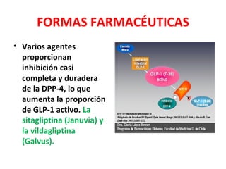 FORMAS FARMACÉUTICAS
• Varios agentes
  proporcionan
  inhibición casi
  completa y duradera
  de la DPP-4, lo que
  aumenta la proporción
  de GLP-1 activo. La
  sitagliptina (Januvia) y
  la vildagliptina
  (Galvus).
 