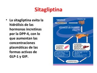 Sitagliptina
• La sitagliptina evita la
  hidrólisis de las
  hormonas incretinas
  por la DPP-4, con lo
  que aumentan las
  concentraciones
  plasmáticas de las
  formas activas de
  GLP-1 y GIP.
 