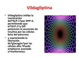 Vildagliptina
• Vildagliptina inhibe la
  inactivación
  del GLP-1 por DPP-4,
  permitiendo que
  el GLP-1 y GIP
  potencien la secreción de
  insulina por las células
  beta del páncreas
• y suprimiendo la
  liberación
  de glucagón por las
  células alfa. Puede
  emplearse asociado
  a metformina.
 