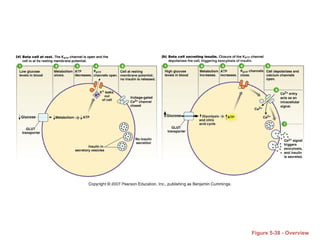 Figure 5-38 - Overview
 