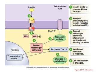 Figure 22-11 - Overview
 