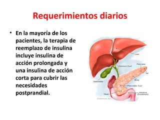 Requerimientos diarios
• En la mayoría de los
  pacientes, la terapia de
  reemplazo de insulina
  incluye insulina de
  acción prolongada y
  una insulina de acción
  corta para cubrir las
  necesidades
  postprandial.
 