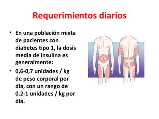 Requerimientos diarios
• En una población mixta
  de pacientes con
  diabetes tipo 1, la dosis
  media de insulina es
  generalmente:
• 0,6-0,7 unidades / kg
  de peso corporal por
  día, con un rango de
  0.2-1 unidades / kg por
  día.
 