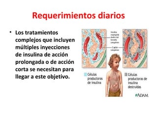 Requerimientos diarios
• Los tratamientos
  complejos que incluyen
  múltiples inyecciones
  de insulina de acción
  prolongada o de acción
  corta se necesitan para
  llegar a este objetivo.
 