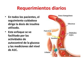Requerimientos diarios
• En todos los pacientes, el
  seguimiento cuidadoso
  dirige la dosis de insulina
  utilizada.
• Este enfoque se ve
  facilitado por las
  actividades de
  autocontrol de la glucosa
  y las mediciones del nivel
  de A1C.
 