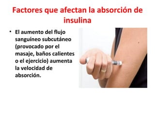 Factores que afectan la absorción de
               insulina
• El aumento del flujo
  sanguíneo subcutáneo
  (provocado por el
  masaje, baños calientes
  o el ejercicio) aumenta
  la velocidad de
  absorción.
 